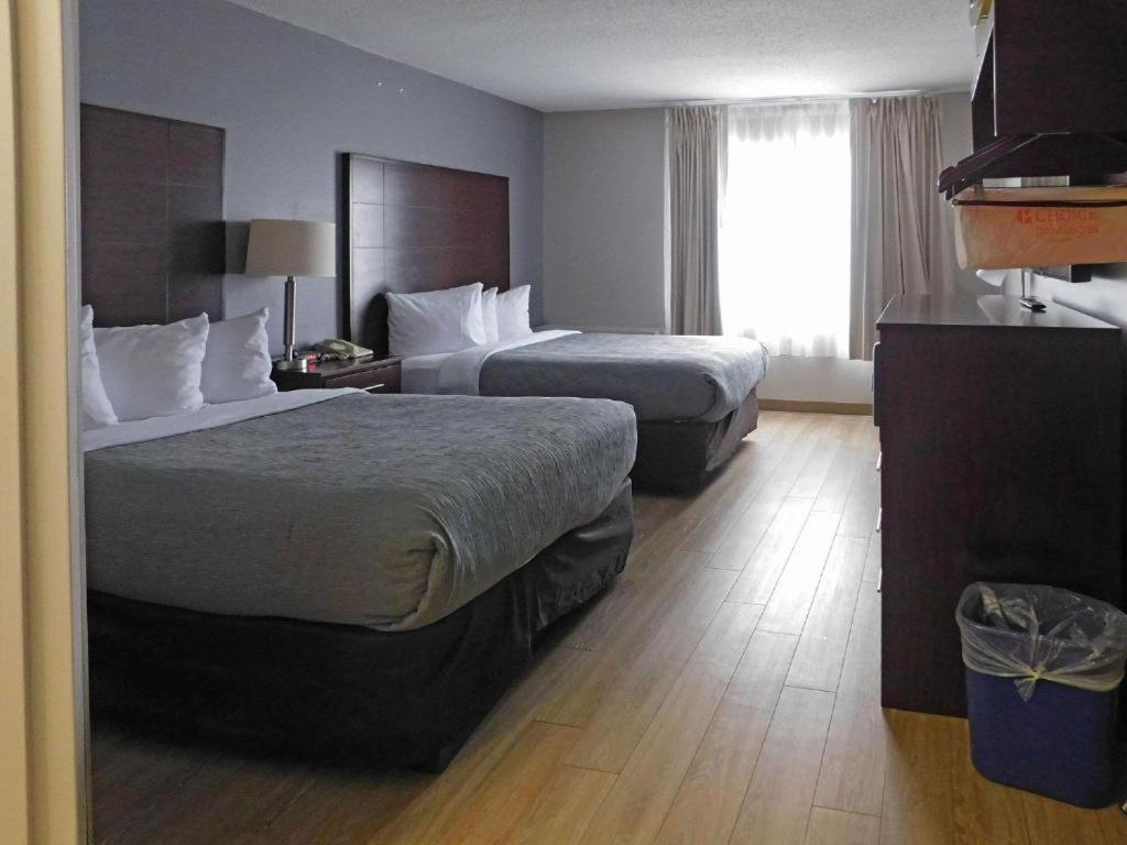 Quality Inn Colchester - ברלינגטון מראה חיצוני תמונה